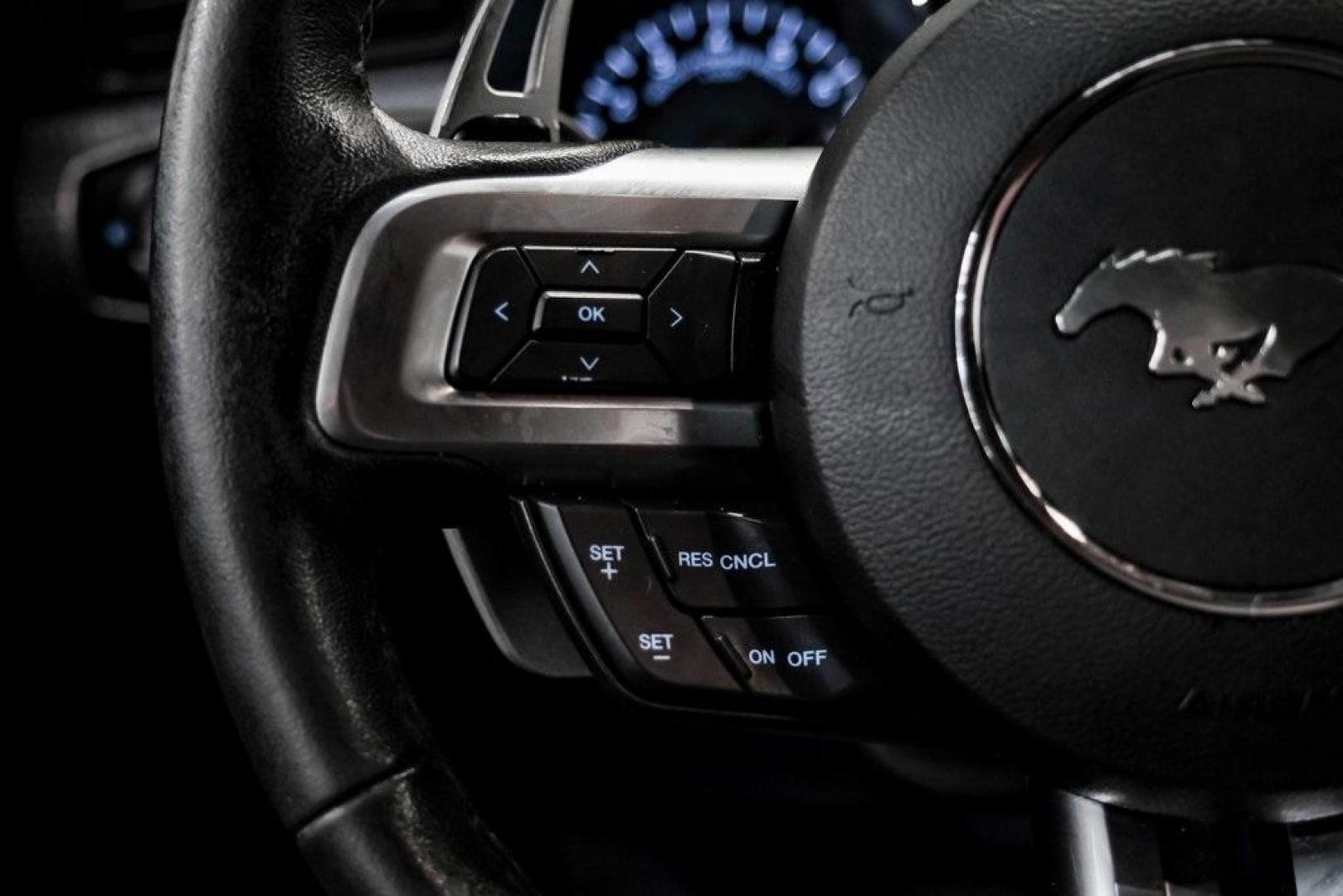 2017 Ingot Silver /Red Line W/Red and Black Ford Mustang EcoBoost Premium (1FA6P8THXH5) with an EcoBoost 2.3L I4 GTDi DOHC Turbocharged VCT engine, Automatic transmission, located at 15300 Midway Rd., Addison, TX, 75001, (972) 702-0011, 32.958321, -96.838074 - Photo#14