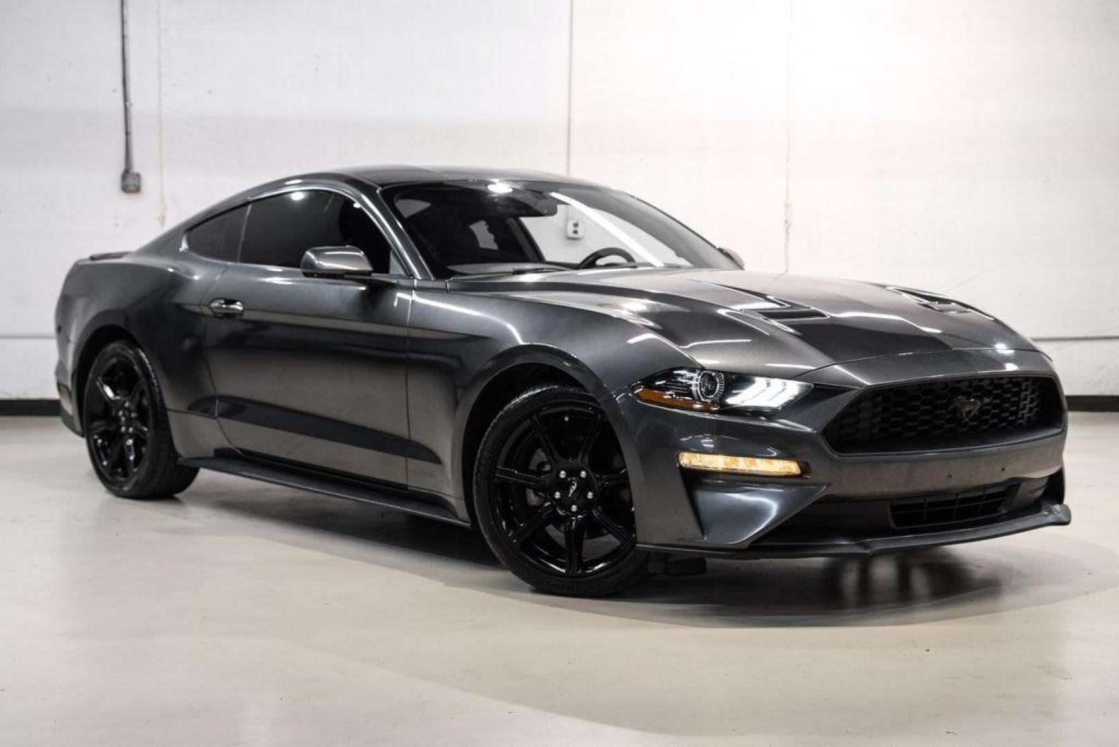 2020 Magnetic /Ebony Ford Mustang EcoBoost (1FA6P8TH2L5) with an 2.3L I4 Turbocharged EcoBoost engine, Automatic transmission, located at 15300 Midway Rd., Addison, TX, 75001, (972) 702-0011, 32.958321, -96.838074 - Photo#5