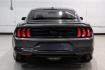2020 Magnetic /Ebony Ford Mustang EcoBoost (1FA6P8TH2L5) with an 2.3L I4 Turbocharged EcoBoost engine, Automatic transmission, located at 15300 Midway Rd., Addison, TX, 75001, (972) 702-0011, 32.958321, -96.838074 - Photo#8