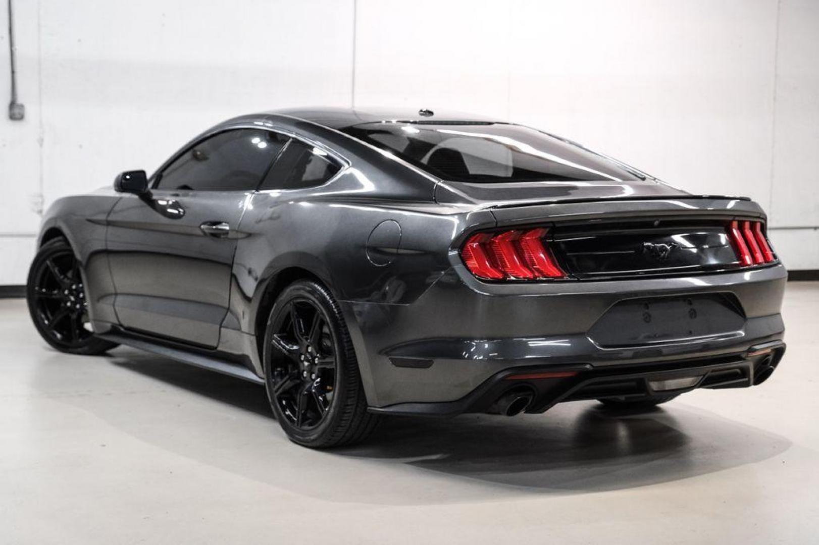 2020 Magnetic /Ebony Ford Mustang EcoBoost (1FA6P8TH2L5) with an 2.3L I4 Turbocharged EcoBoost engine, Automatic transmission, located at 15300 Midway Rd., Addison, TX, 75001, (972) 702-0011, 32.958321, -96.838074 - Photo#9