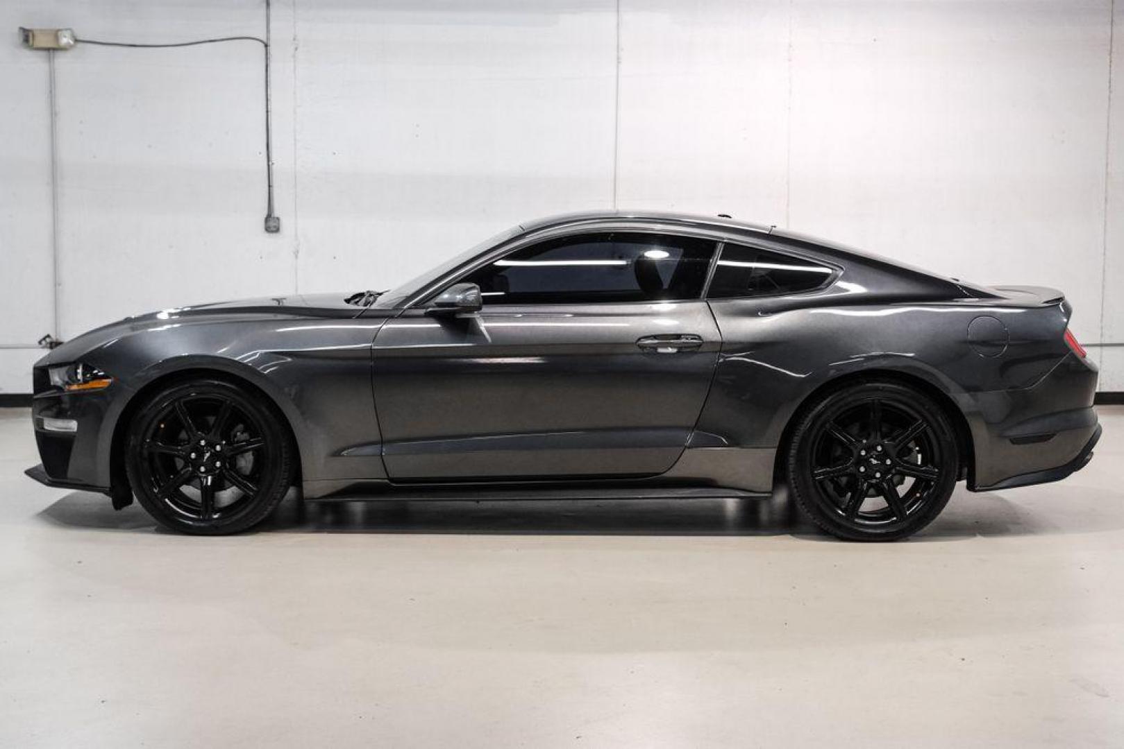 2020 Magnetic /Ebony Ford Mustang EcoBoost (1FA6P8TH2L5) with an 2.3L I4 Turbocharged EcoBoost engine, Automatic transmission, located at 15300 Midway Rd., Addison, TX, 75001, (972) 702-0011, 32.958321, -96.838074 - Photo#10