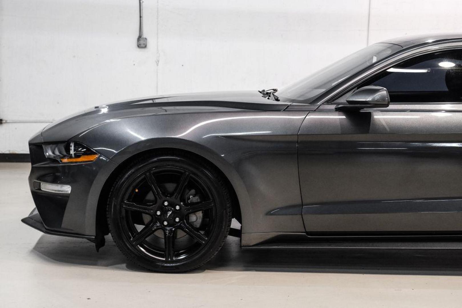 2020 Magnetic /Ebony Ford Mustang EcoBoost (1FA6P8TH2L5) with an 2.3L I4 Turbocharged EcoBoost engine, Automatic transmission, located at 15300 Midway Rd., Addison, TX, 75001, (972) 702-0011, 32.958321, -96.838074 - Photo#11
