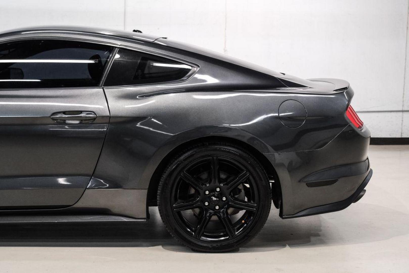 2020 Magnetic /Ebony Ford Mustang EcoBoost (1FA6P8TH2L5) with an 2.3L I4 Turbocharged EcoBoost engine, Automatic transmission, located at 15300 Midway Rd., Addison, TX, 75001, (972) 702-0011, 32.958321, -96.838074 - Photo#12