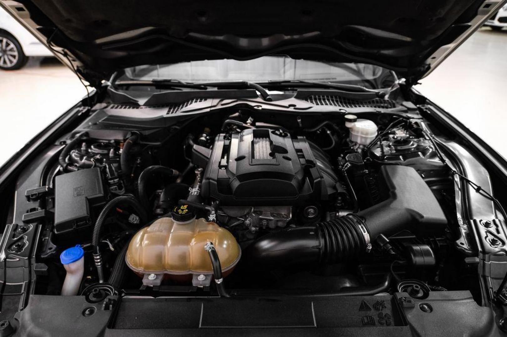 2020 Magnetic /Ebony Ford Mustang EcoBoost (1FA6P8TH2L5) with an 2.3L I4 Turbocharged EcoBoost engine, Automatic transmission, located at 15300 Midway Rd., Addison, TX, 75001, (972) 702-0011, 32.958321, -96.838074 - Photo#41