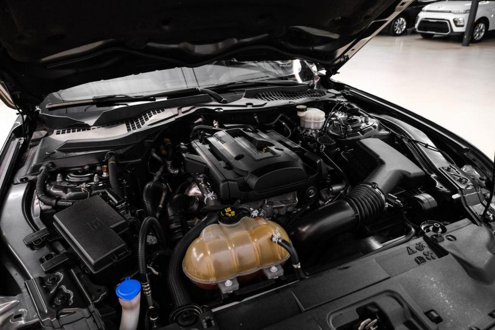 2020 Magnetic /Ebony Ford Mustang EcoBoost (1FA6P8TH2L5) with an 2.3L I4 Turbocharged EcoBoost engine, Automatic transmission, located at 15300 Midway Rd., Addison, TX, 75001, (972) 702-0011, 32.958321, -96.838074 - Photo#42