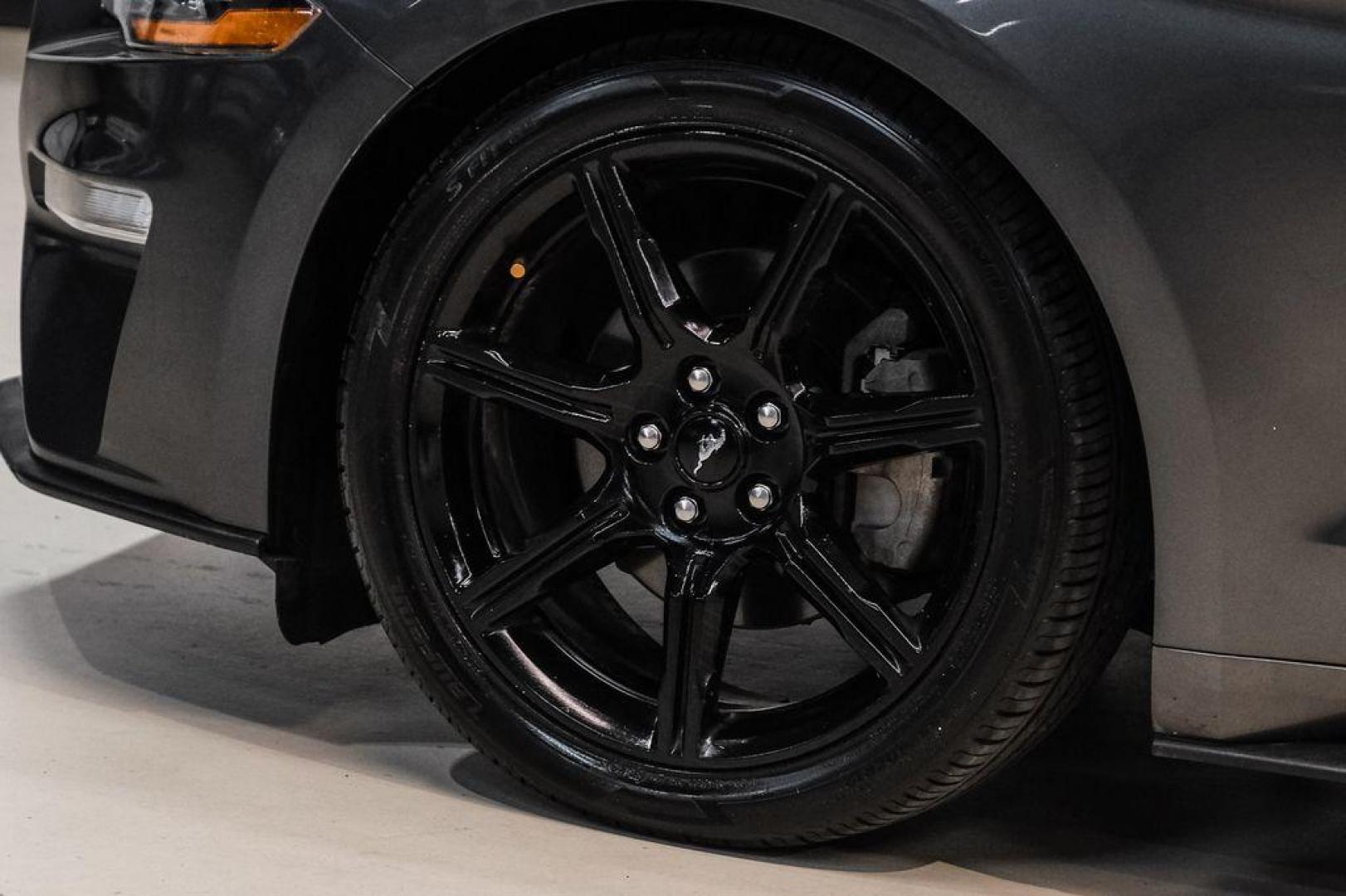 2020 Magnetic /Ebony Ford Mustang EcoBoost (1FA6P8TH2L5) with an 2.3L I4 Turbocharged EcoBoost engine, Automatic transmission, located at 15300 Midway Rd., Addison, TX, 75001, (972) 702-0011, 32.958321, -96.838074 - Photo#45