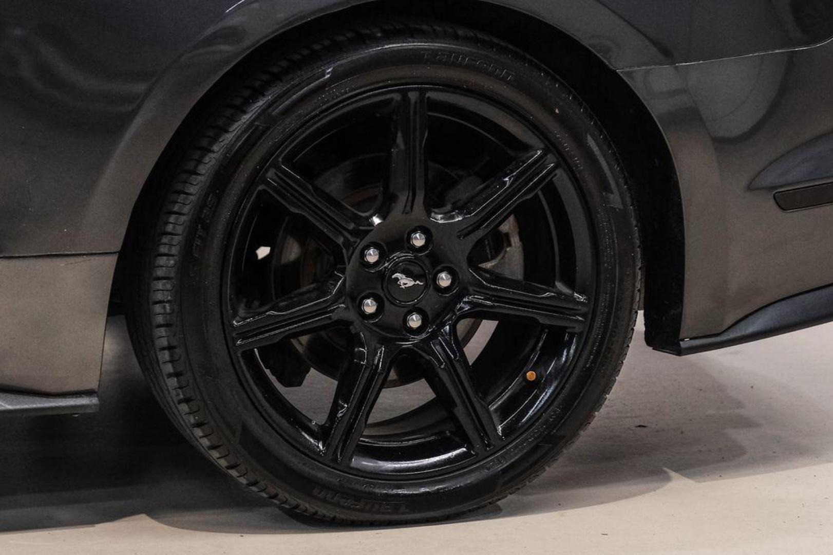 2020 Magnetic /Ebony Ford Mustang EcoBoost (1FA6P8TH2L5) with an 2.3L I4 Turbocharged EcoBoost engine, Automatic transmission, located at 15300 Midway Rd., Addison, TX, 75001, (972) 702-0011, 32.958321, -96.838074 - Photo#46