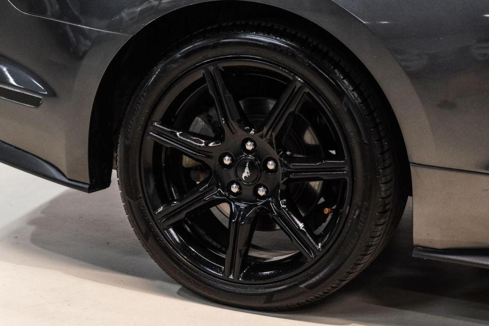 2020 Magnetic /Ebony Ford Mustang EcoBoost (1FA6P8TH2L5) with an 2.3L I4 Turbocharged EcoBoost engine, Automatic transmission, located at 15300 Midway Rd., Addison, TX, 75001, (972) 702-0011, 32.958321, -96.838074 - Photo#47