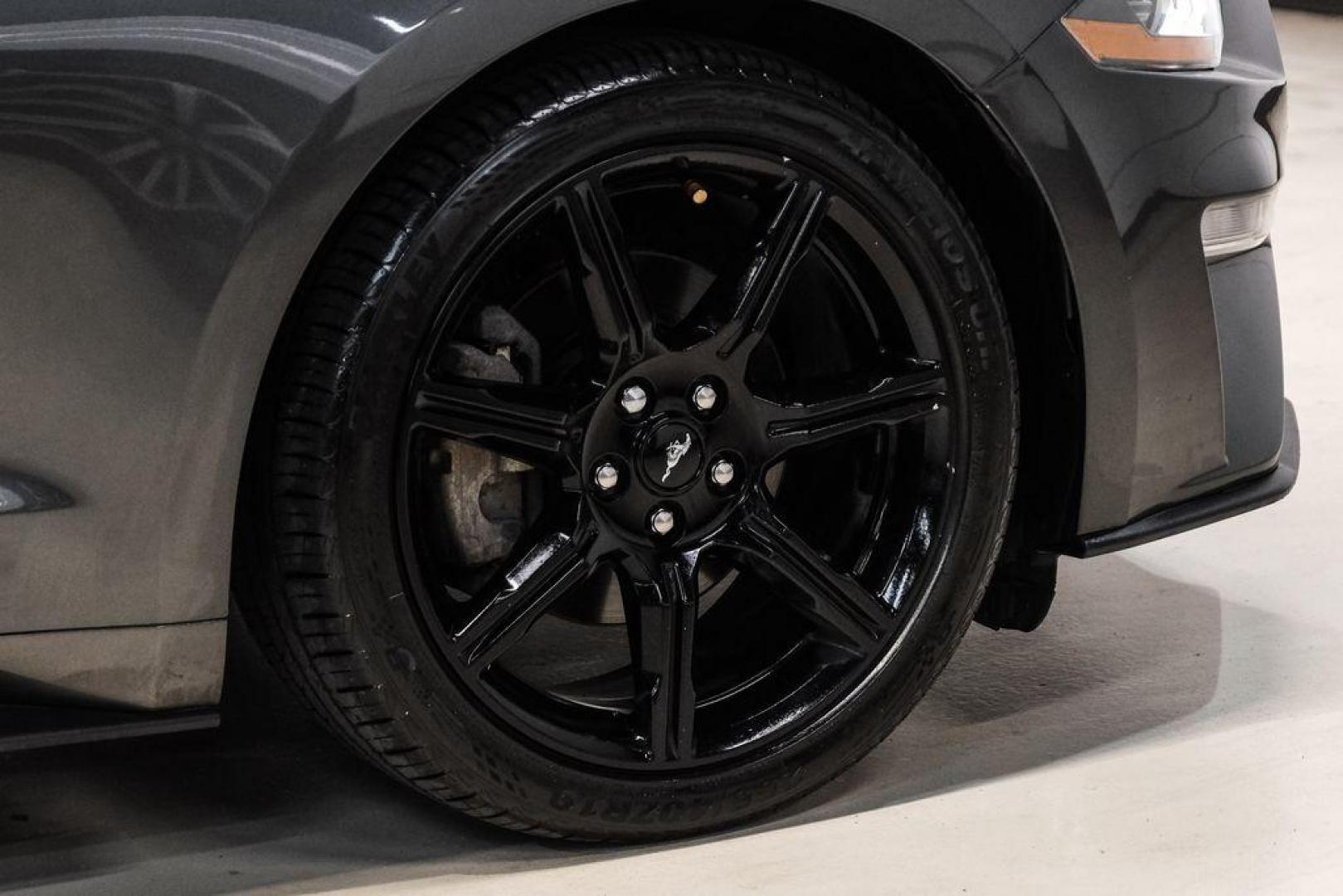 2020 Magnetic /Ebony Ford Mustang EcoBoost (1FA6P8TH2L5) with an 2.3L I4 Turbocharged EcoBoost engine, Automatic transmission, located at 15300 Midway Rd., Addison, TX, 75001, (972) 702-0011, 32.958321, -96.838074 - Photo#48