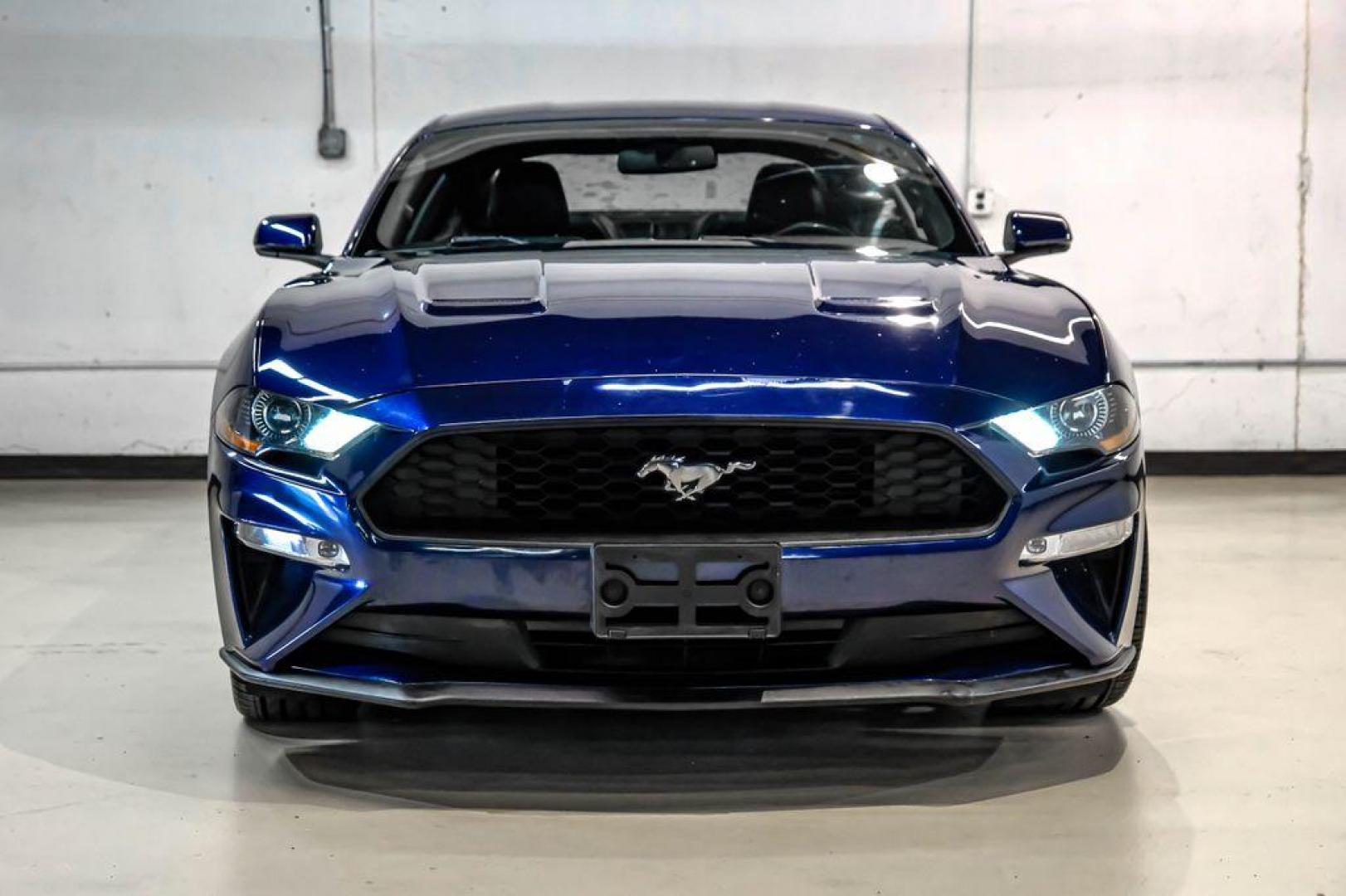 2019 Kona Blue Metallic /Ebony Ford Mustang EcoBoost Premium (1FA6P8TH6K5) with an EcoBoost 2.3L I4 GTDi DOHC Turbocharged VCT engine, Automatic transmission, located at 15300 Midway Rd., Addison, TX, 75001, (972) 702-0011, 32.958321, -96.838074 - Photo#4