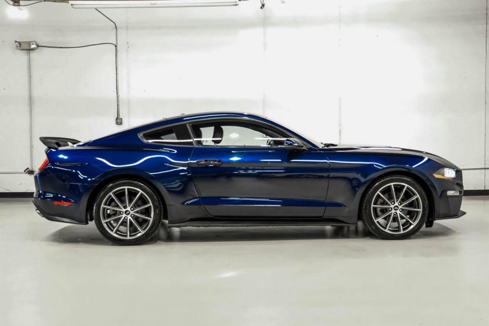 2019 Kona Blue Metallic /Ebony Ford Mustang EcoBoost Premium (1FA6P8TH6K5) with an EcoBoost 2.3L I4 GTDi DOHC Turbocharged VCT engine, Automatic transmission, located at 15300 Midway Rd., Addison, TX, 75001, (972) 702-0011, 32.958321, -96.838074 - Photo#6