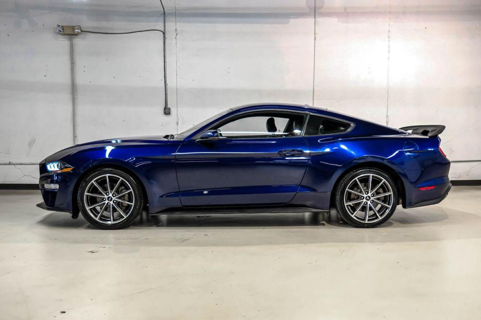2019 Kona Blue Metallic /Ebony Ford Mustang EcoBoost Premium (1FA6P8TH6K5) with an EcoBoost 2.3L I4 GTDi DOHC Turbocharged VCT engine, Automatic transmission, located at 15300 Midway Rd., Addison, TX, 75001, (972) 702-0011, 32.958321, -96.838074 - Photo#10