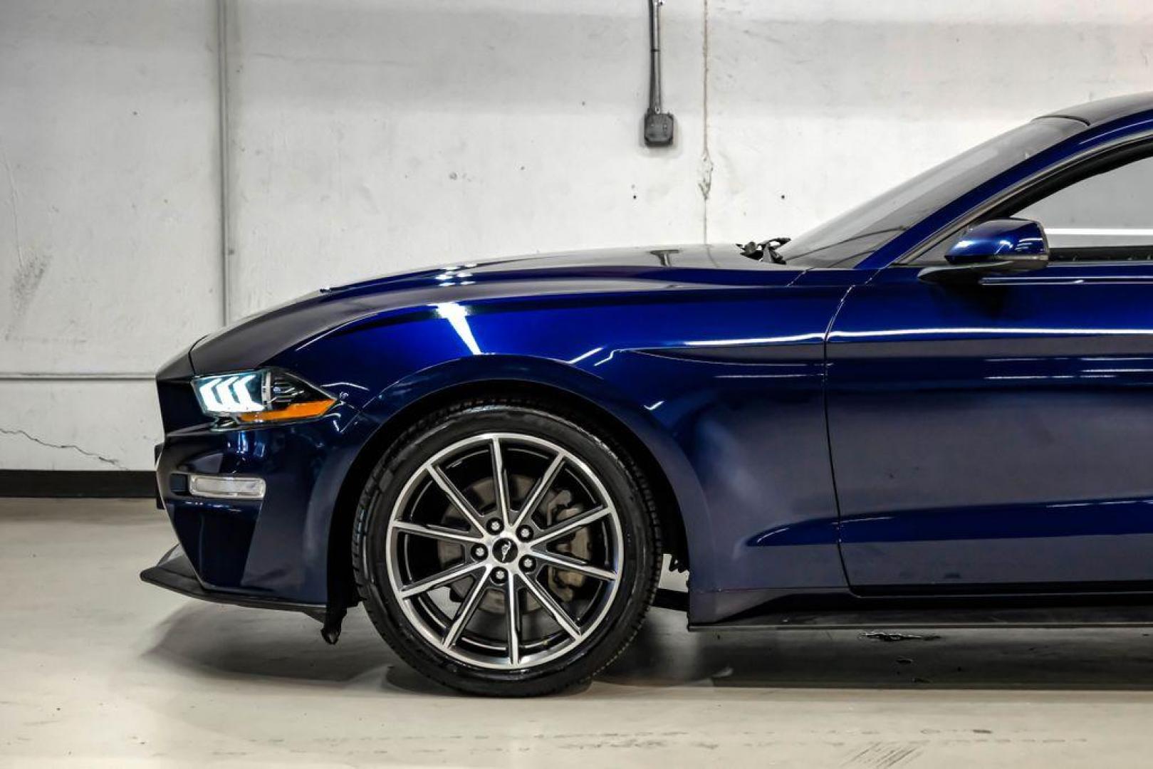 2019 Kona Blue Metallic /Ebony Ford Mustang EcoBoost Premium (1FA6P8TH6K5) with an EcoBoost 2.3L I4 GTDi DOHC Turbocharged VCT engine, Automatic transmission, located at 15300 Midway Rd., Addison, TX, 75001, (972) 702-0011, 32.958321, -96.838074 - Photo#11