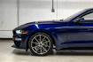 2019 Kona Blue Metallic /Ebony Ford Mustang EcoBoost Premium (1FA6P8TH6K5) with an EcoBoost 2.3L I4 GTDi DOHC Turbocharged VCT engine, Automatic transmission, located at 15300 Midway Rd., Addison, TX, 75001, (972) 702-0011, 32.958321, -96.838074 - Photo#11