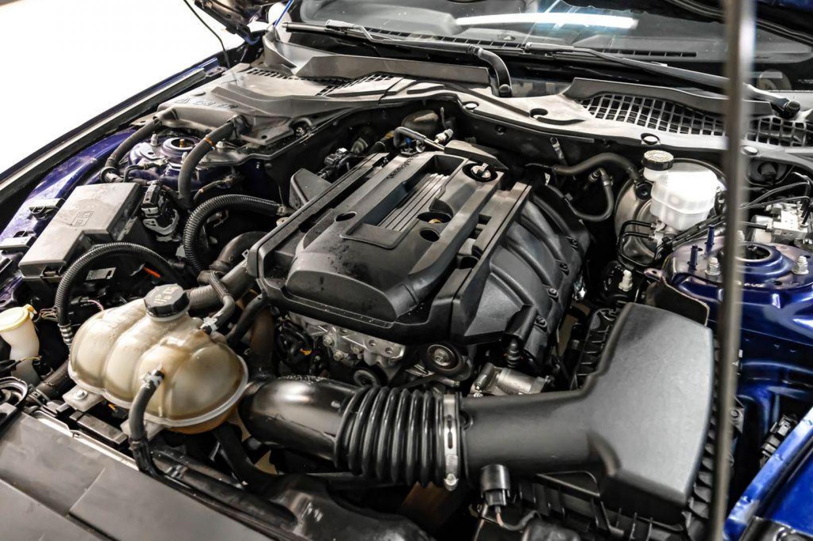 2019 Kona Blue Metallic /Ebony Ford Mustang EcoBoost Premium (1FA6P8TH6K5) with an EcoBoost 2.3L I4 GTDi DOHC Turbocharged VCT engine, Automatic transmission, located at 15300 Midway Rd., Addison, TX, 75001, (972) 702-0011, 32.958321, -96.838074 - Photo#40