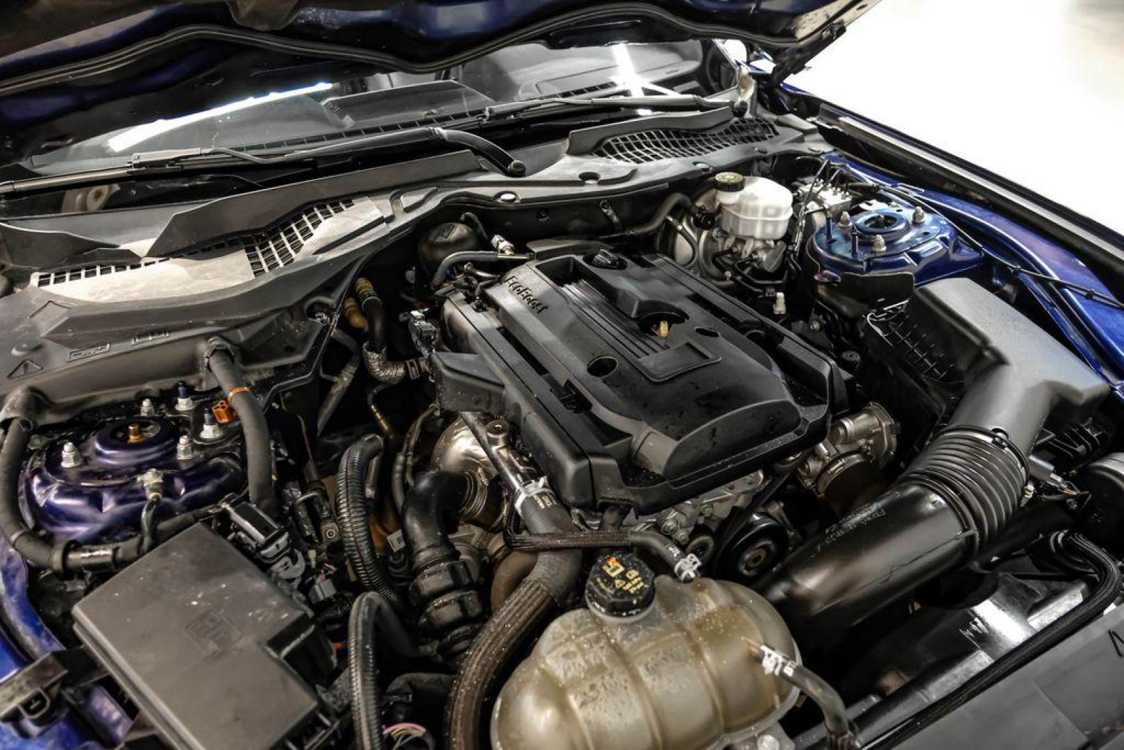 2019 Kona Blue Metallic /Ebony Ford Mustang EcoBoost Premium (1FA6P8TH6K5) with an EcoBoost 2.3L I4 GTDi DOHC Turbocharged VCT engine, Automatic transmission, located at 15300 Midway Rd., Addison, TX, 75001, (972) 702-0011, 32.958321, -96.838074 - Photo#42