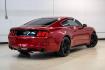 2017 Ruby Red Metallic /Ebony Ford Mustang EcoBoost (1FA6P8TH3H5) with an EcoBoost 2.3L I4 GTDi DOHC Turbocharged VCT engine, Automatic transmission, located at 15300 Midway Rd., Addison, TX, 75001, (972) 702-0011, 32.958321, -96.838074 - Photo#9