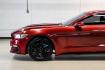 2017 Ruby Red Metallic /Ebony Ford Mustang EcoBoost (1FA6P8TH3H5) with an EcoBoost 2.3L I4 GTDi DOHC Turbocharged VCT engine, Automatic transmission, located at 15300 Midway Rd., Addison, TX, 75001, (972) 702-0011, 32.958321, -96.838074 - Photo#17