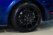 2016 Blue Metallic /Ebony Ford Mustang EcoBoost (1FA6P8TH7G5) with an EcoBoost 2.3L I4 GTDi DOHC Turbocharged VCT engine, Manual transmission, located at 15300 Midway Rd., Addison, TX, 75001, (972) 702-0011, 32.958321, -96.838074 - Photo#50
