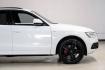 2016 Ibis White /black Audi SQ5 3.0T Premium Plus (WA1CCAFP8GA) with an 3.0L V6 Turbocharged DOHC 24V ULEV II 354hp engine, Automatic transmission, located at 15300 Midway Rd., Addison, TX, 75001, (972) 702-0011, 32.958321, -96.838074- Photo#9
