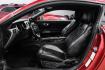 2019 Ruby Red Metallic /Ebony Ford Mustang EcoBoost Premium (1FA6P8TH8K5) with an EcoBoost 2.3L I4 GTDi DOHC Turbocharged VCT engine, Automatic transmission, located at 15300 Midway Rd., Addison, TX, 75001, (972) 702-0011, 32.958321, -96.838074- Photo#3