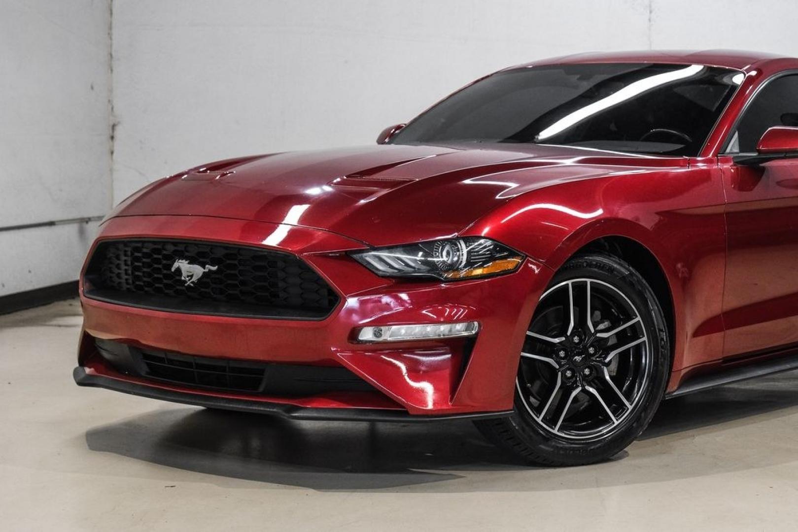 2019 Ruby Red Metallic /Ebony Ford Mustang EcoBoost Premium (1FA6P8TH8K5) with an EcoBoost 2.3L I4 GTDi DOHC Turbocharged VCT engine, Automatic transmission, located at 15300 Midway Rd., Addison, TX, 75001, (972) 702-0011, 32.958321, -96.838074- Photo#4