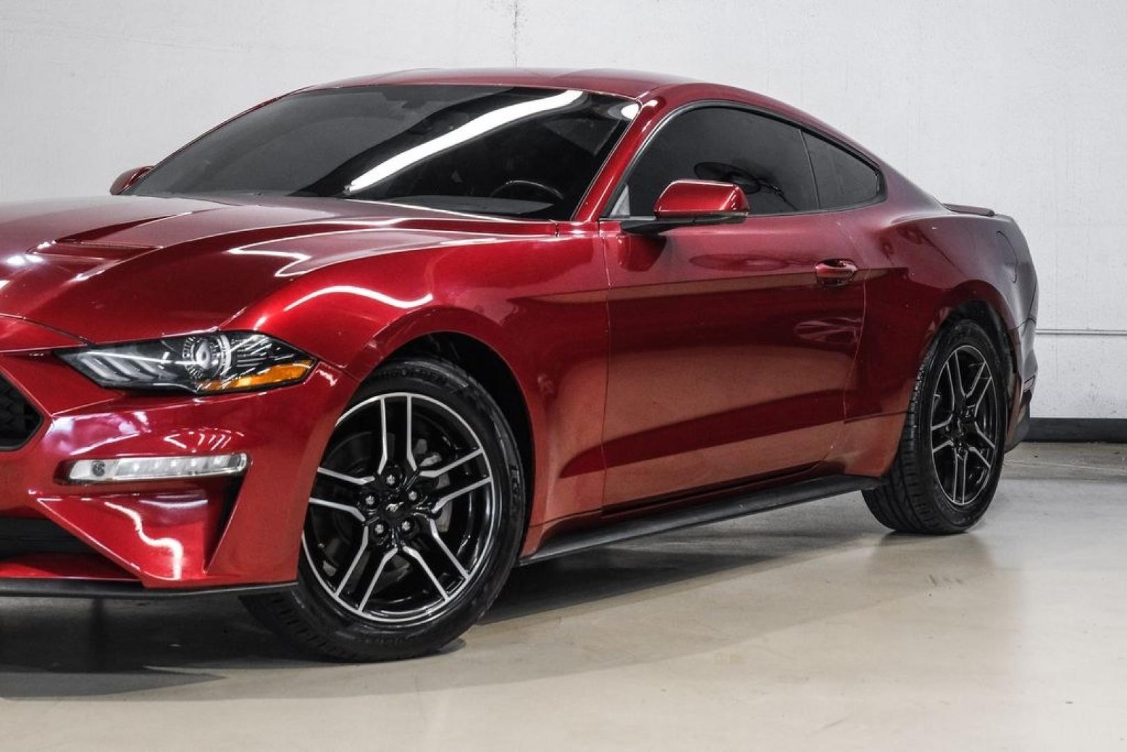 2019 Ruby Red Metallic /Ebony Ford Mustang EcoBoost Premium (1FA6P8TH8K5) with an EcoBoost 2.3L I4 GTDi DOHC Turbocharged VCT engine, Automatic transmission, located at 15300 Midway Rd., Addison, TX, 75001, (972) 702-0011, 32.958321, -96.838074- Photo#5