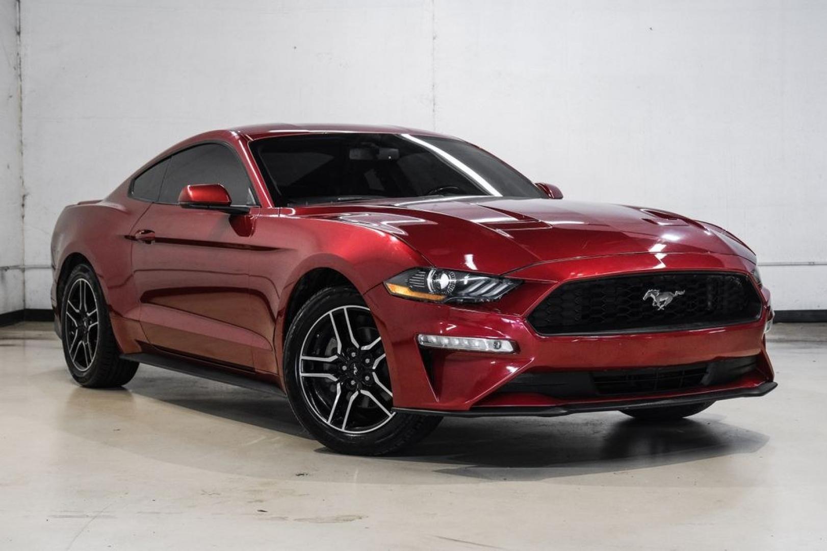 2019 Ruby Red Metallic /Ebony Ford Mustang EcoBoost Premium (1FA6P8TH8K5) with an EcoBoost 2.3L I4 GTDi DOHC Turbocharged VCT engine, Automatic transmission, located at 15300 Midway Rd., Addison, TX, 75001, (972) 702-0011, 32.958321, -96.838074- Photo#7
