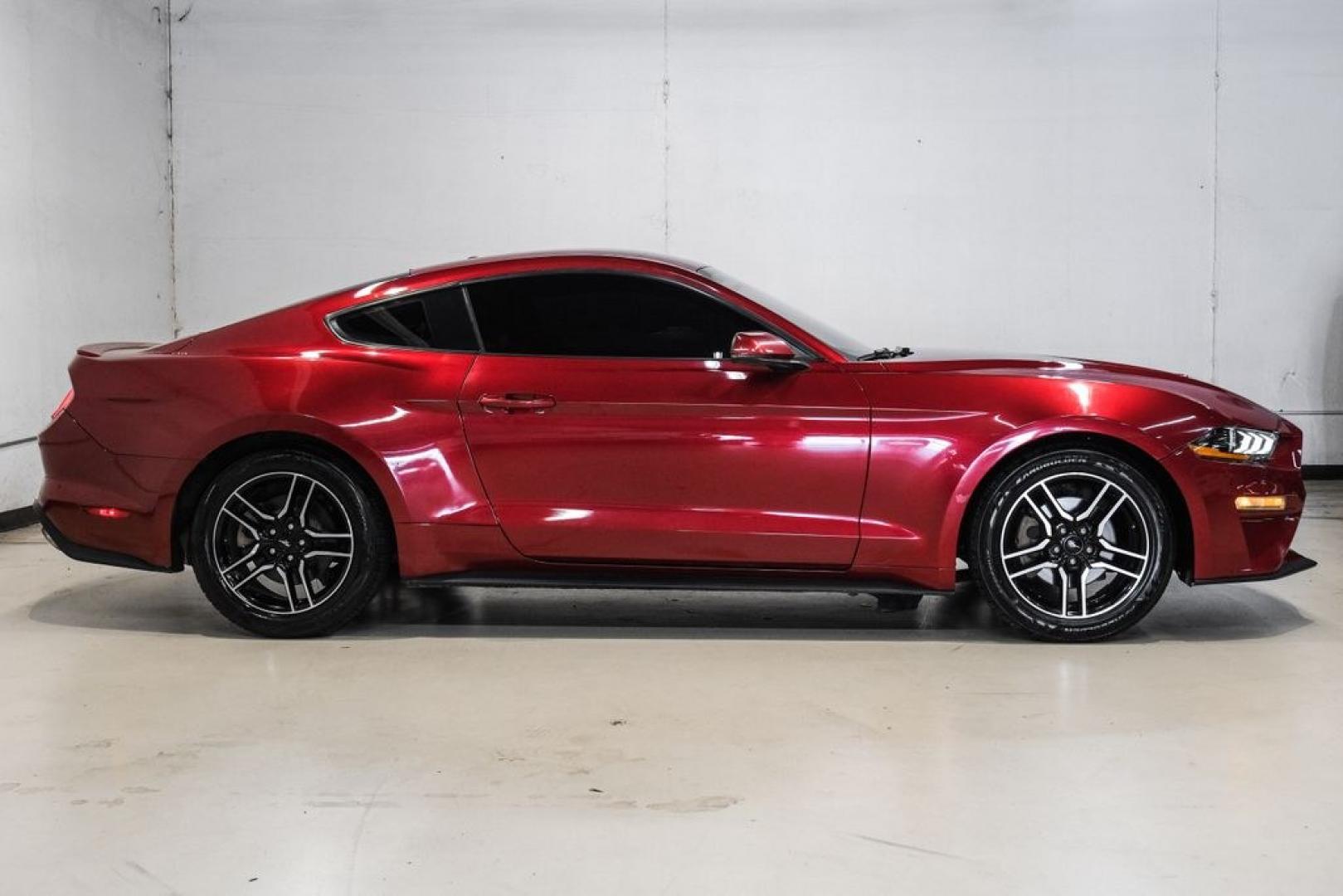 2019 Ruby Red Metallic /Ebony Ford Mustang EcoBoost Premium (1FA6P8TH8K5) with an EcoBoost 2.3L I4 GTDi DOHC Turbocharged VCT engine, Automatic transmission, located at 15300 Midway Rd., Addison, TX, 75001, (972) 702-0011, 32.958321, -96.838074- Photo#8