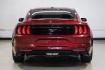 2019 Ruby Red Metallic /Ebony Ford Mustang EcoBoost Premium (1FA6P8TH8K5) with an EcoBoost 2.3L I4 GTDi DOHC Turbocharged VCT engine, Automatic transmission, located at 15300 Midway Rd., Addison, TX, 75001, (972) 702-0011, 32.958321, -96.838074- Photo#10