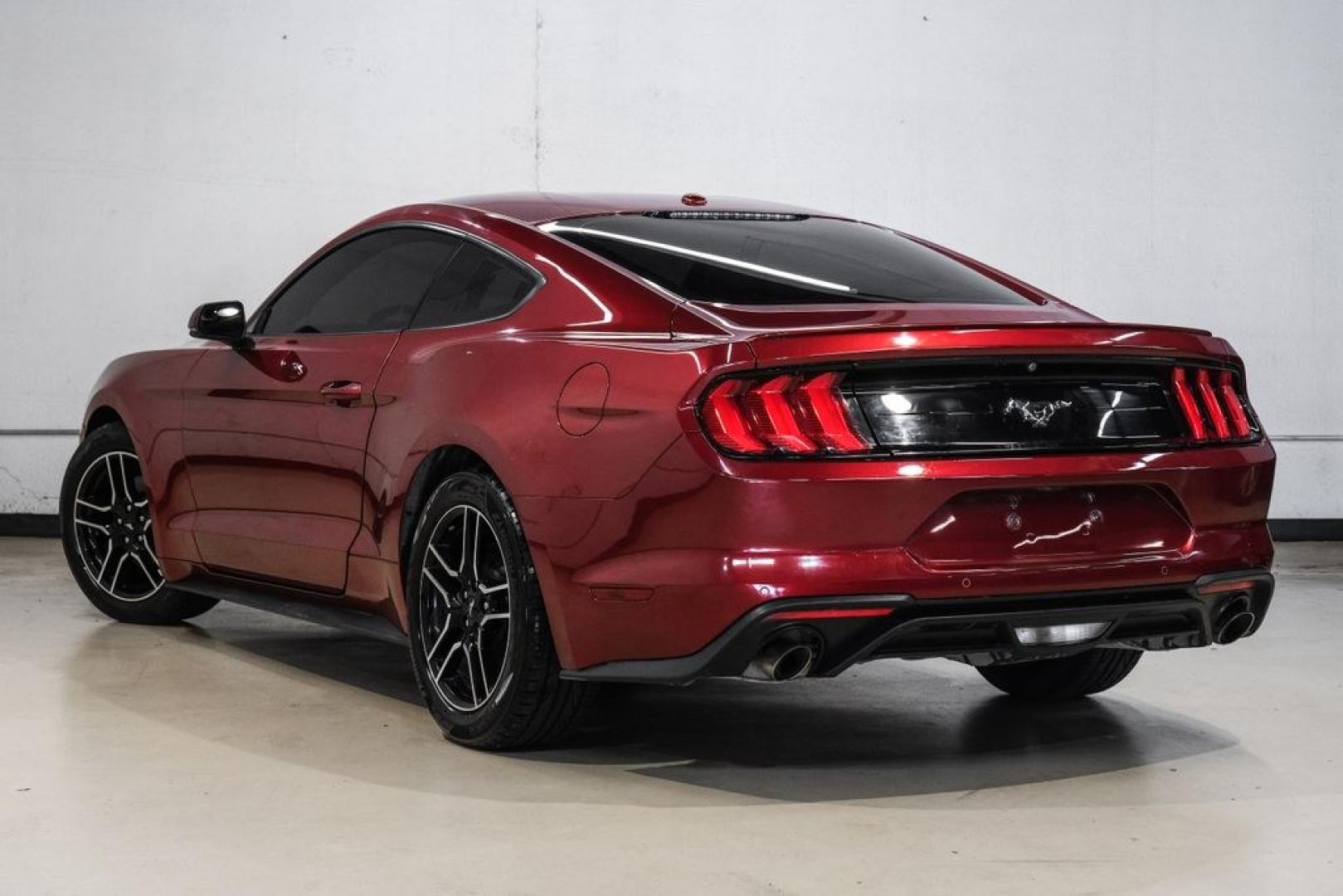 2019 Ruby Red Metallic /Ebony Ford Mustang EcoBoost Premium (1FA6P8TH8K5) with an EcoBoost 2.3L I4 GTDi DOHC Turbocharged VCT engine, Automatic transmission, located at 15300 Midway Rd., Addison, TX, 75001, (972) 702-0011, 32.958321, -96.838074- Photo#11