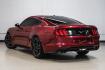 2019 Ruby Red Metallic /Ebony Ford Mustang EcoBoost Premium (1FA6P8TH8K5) with an EcoBoost 2.3L I4 GTDi DOHC Turbocharged VCT engine, Automatic transmission, located at 15300 Midway Rd., Addison, TX, 75001, (972) 702-0011, 32.958321, -96.838074- Photo#11
