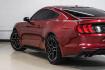2019 Ruby Red Metallic /Ebony Ford Mustang EcoBoost Premium (1FA6P8TH8K5) with an EcoBoost 2.3L I4 GTDi DOHC Turbocharged VCT engine, Automatic transmission, located at 15300 Midway Rd., Addison, TX, 75001, (972) 702-0011, 32.958321, -96.838074- Photo#12