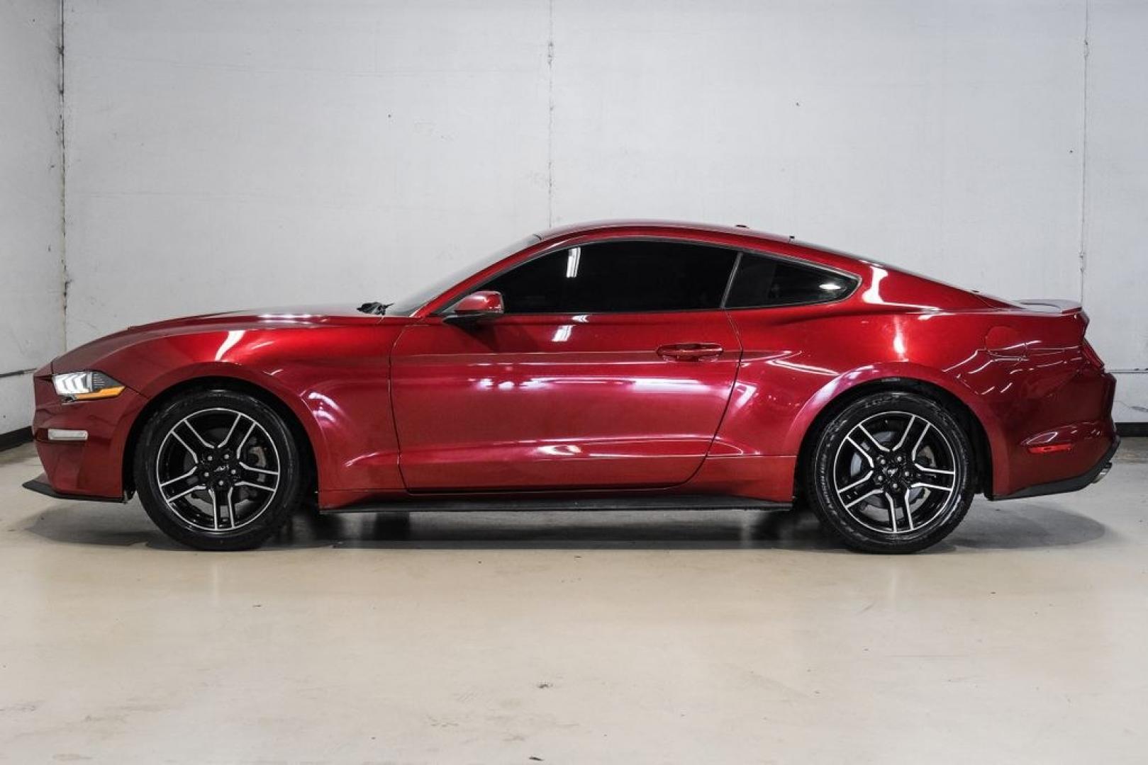 2019 Ruby Red Metallic /Ebony Ford Mustang EcoBoost Premium (1FA6P8TH8K5) with an EcoBoost 2.3L I4 GTDi DOHC Turbocharged VCT engine, Automatic transmission, located at 15300 Midway Rd., Addison, TX, 75001, (972) 702-0011, 32.958321, -96.838074- Photo#14