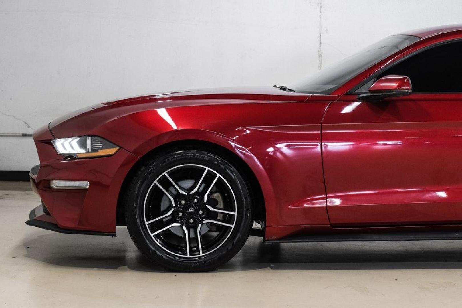 2019 Ruby Red Metallic /Ebony Ford Mustang EcoBoost Premium (1FA6P8TH8K5) with an EcoBoost 2.3L I4 GTDi DOHC Turbocharged VCT engine, Automatic transmission, located at 15300 Midway Rd., Addison, TX, 75001, (972) 702-0011, 32.958321, -96.838074- Photo#15