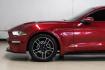 2019 Ruby Red Metallic /Ebony Ford Mustang EcoBoost Premium (1FA6P8TH8K5) with an EcoBoost 2.3L I4 GTDi DOHC Turbocharged VCT engine, Automatic transmission, located at 15300 Midway Rd., Addison, TX, 75001, (972) 702-0011, 32.958321, -96.838074- Photo#15