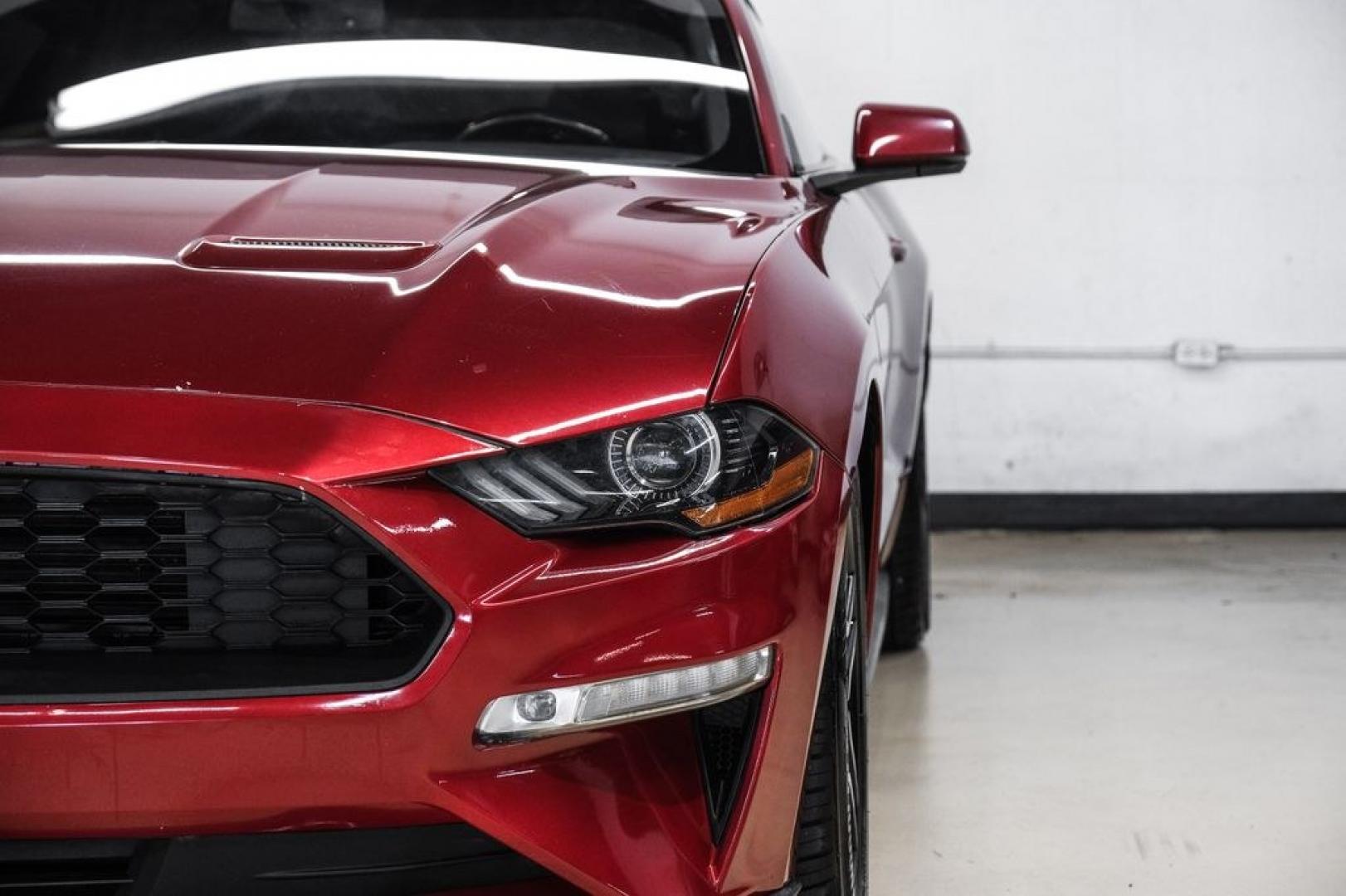 2019 Ruby Red Metallic /Ebony Ford Mustang EcoBoost Premium (1FA6P8TH8K5) with an EcoBoost 2.3L I4 GTDi DOHC Turbocharged VCT engine, Automatic transmission, located at 15300 Midway Rd., Addison, TX, 75001, (972) 702-0011, 32.958321, -96.838074- Photo#40