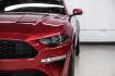 2019 Ruby Red Metallic /Ebony Ford Mustang EcoBoost Premium (1FA6P8TH8K5) with an EcoBoost 2.3L I4 GTDi DOHC Turbocharged VCT engine, Automatic transmission, located at 15300 Midway Rd., Addison, TX, 75001, (972) 702-0011, 32.958321, -96.838074- Photo#40