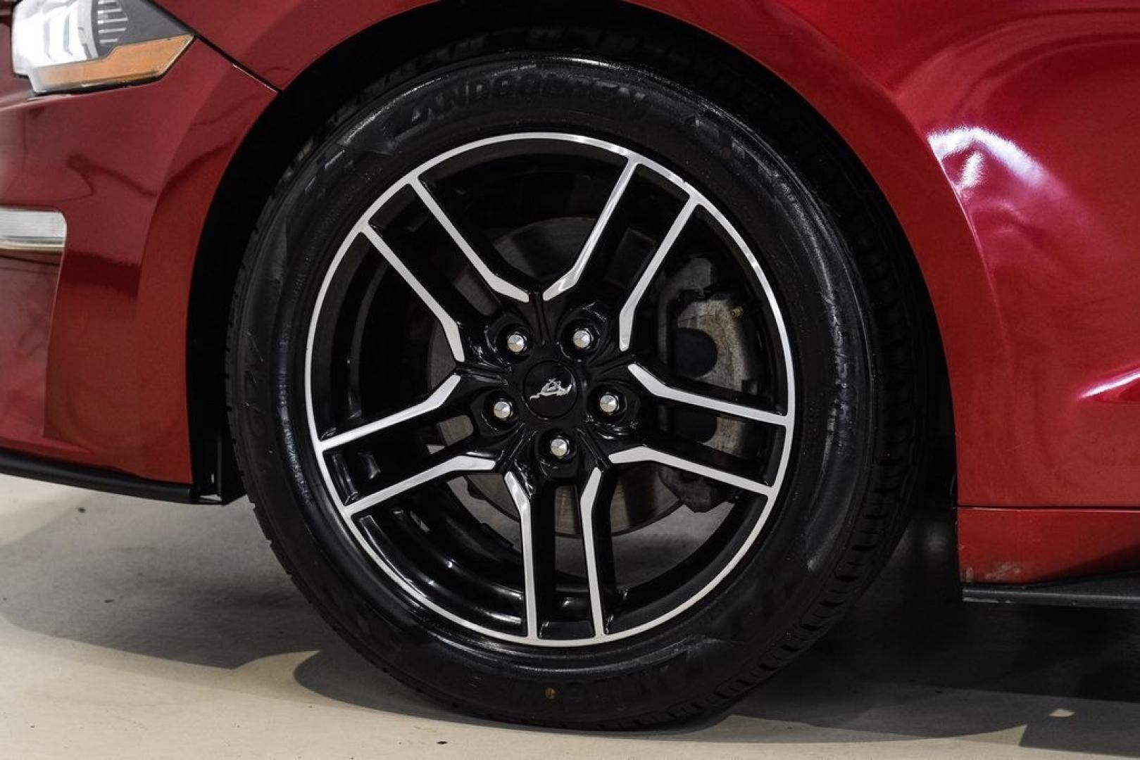 2019 Ruby Red Metallic /Ebony Ford Mustang EcoBoost Premium (1FA6P8TH8K5) with an EcoBoost 2.3L I4 GTDi DOHC Turbocharged VCT engine, Automatic transmission, located at 15300 Midway Rd., Addison, TX, 75001, (972) 702-0011, 32.958321, -96.838074- Photo#44