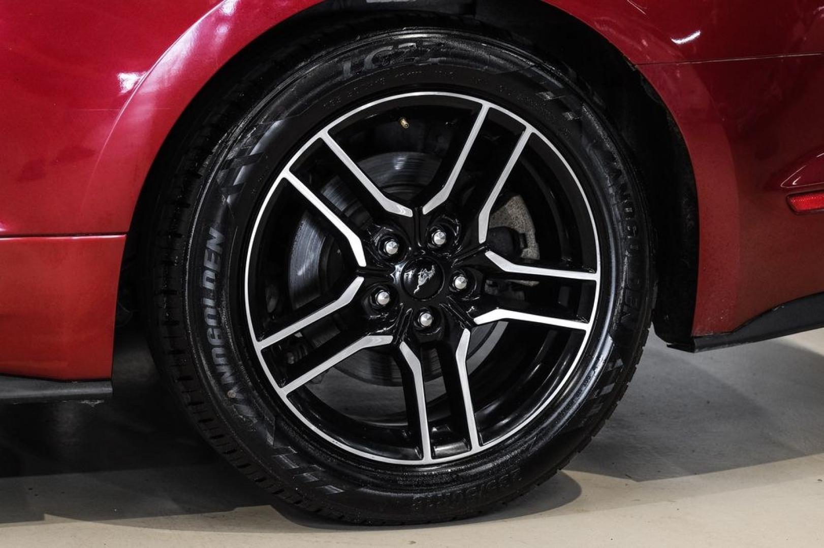 2019 Ruby Red Metallic /Ebony Ford Mustang EcoBoost Premium (1FA6P8TH8K5) with an EcoBoost 2.3L I4 GTDi DOHC Turbocharged VCT engine, Automatic transmission, located at 15300 Midway Rd., Addison, TX, 75001, (972) 702-0011, 32.958321, -96.838074- Photo#45