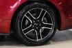 2019 Ruby Red Metallic /Ebony Ford Mustang EcoBoost Premium (1FA6P8TH8K5) with an EcoBoost 2.3L I4 GTDi DOHC Turbocharged VCT engine, Automatic transmission, located at 15300 Midway Rd., Addison, TX, 75001, (972) 702-0011, 32.958321, -96.838074- Photo#45