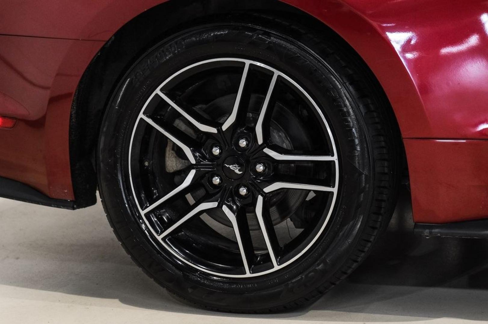 2019 Ruby Red Metallic /Ebony Ford Mustang EcoBoost Premium (1FA6P8TH8K5) with an EcoBoost 2.3L I4 GTDi DOHC Turbocharged VCT engine, Automatic transmission, located at 15300 Midway Rd., Addison, TX, 75001, (972) 702-0011, 32.958321, -96.838074- Photo#46