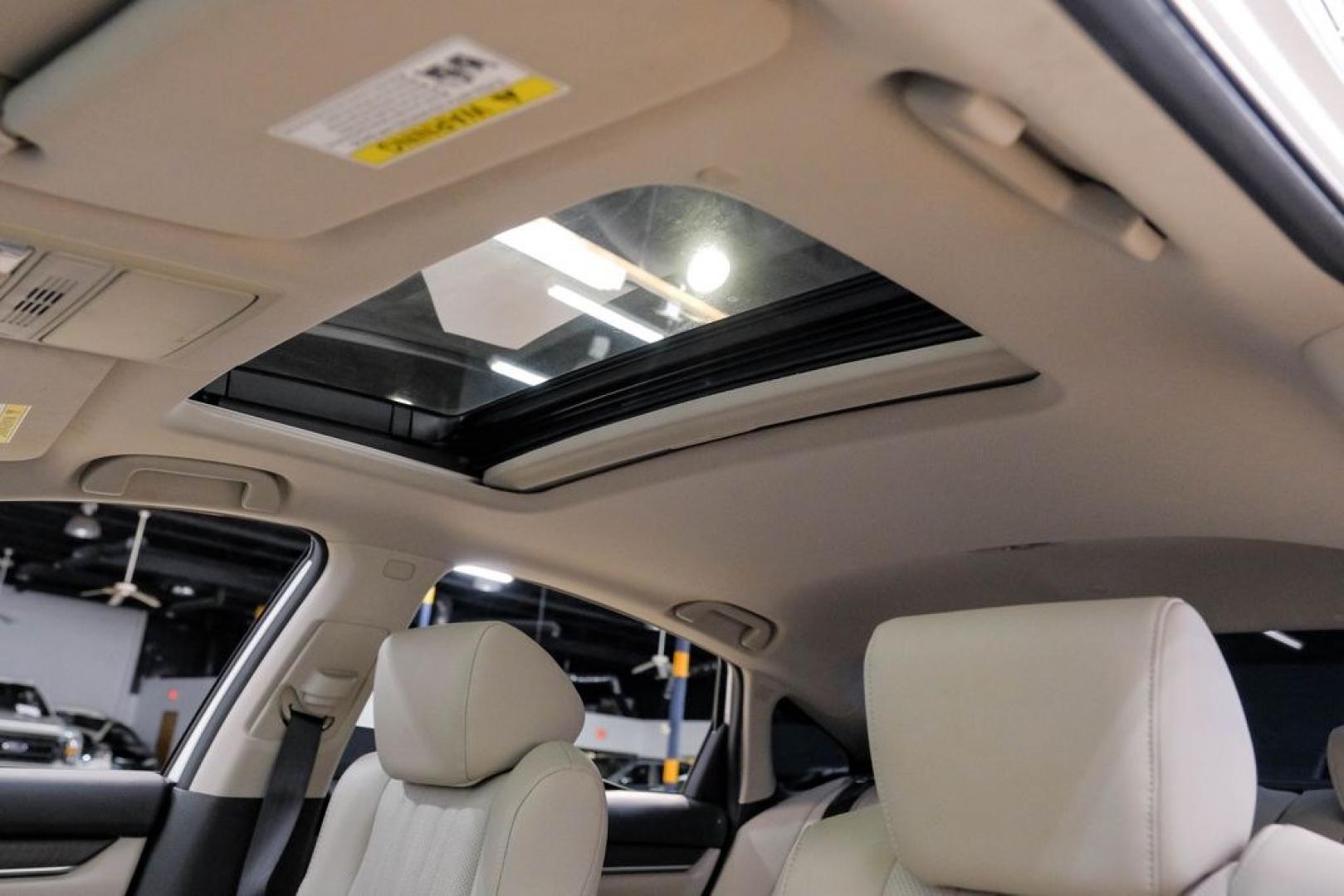 2019 Platinum White Pearl /Ivory Honda Accord EX-L (1HGCV1F58KA) with an 1.5T I4 DOHC 16V Turbocharged VTEC engine, CVT transmission, located at 15300 Midway Rd., Addison, TX, 75001, (972) 702-0011, 32.958321, -96.838074- Photo#4